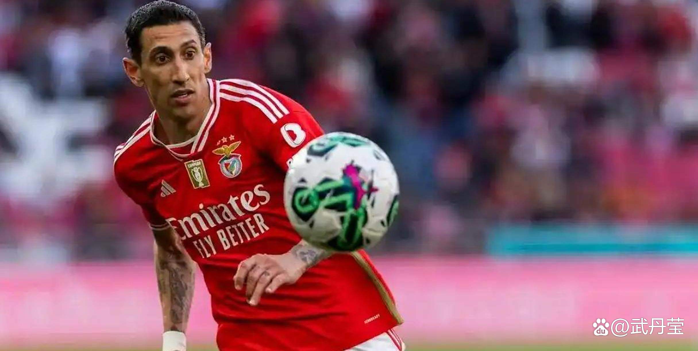 包含本菲卡战绩喜人，出线前景领跑的词条