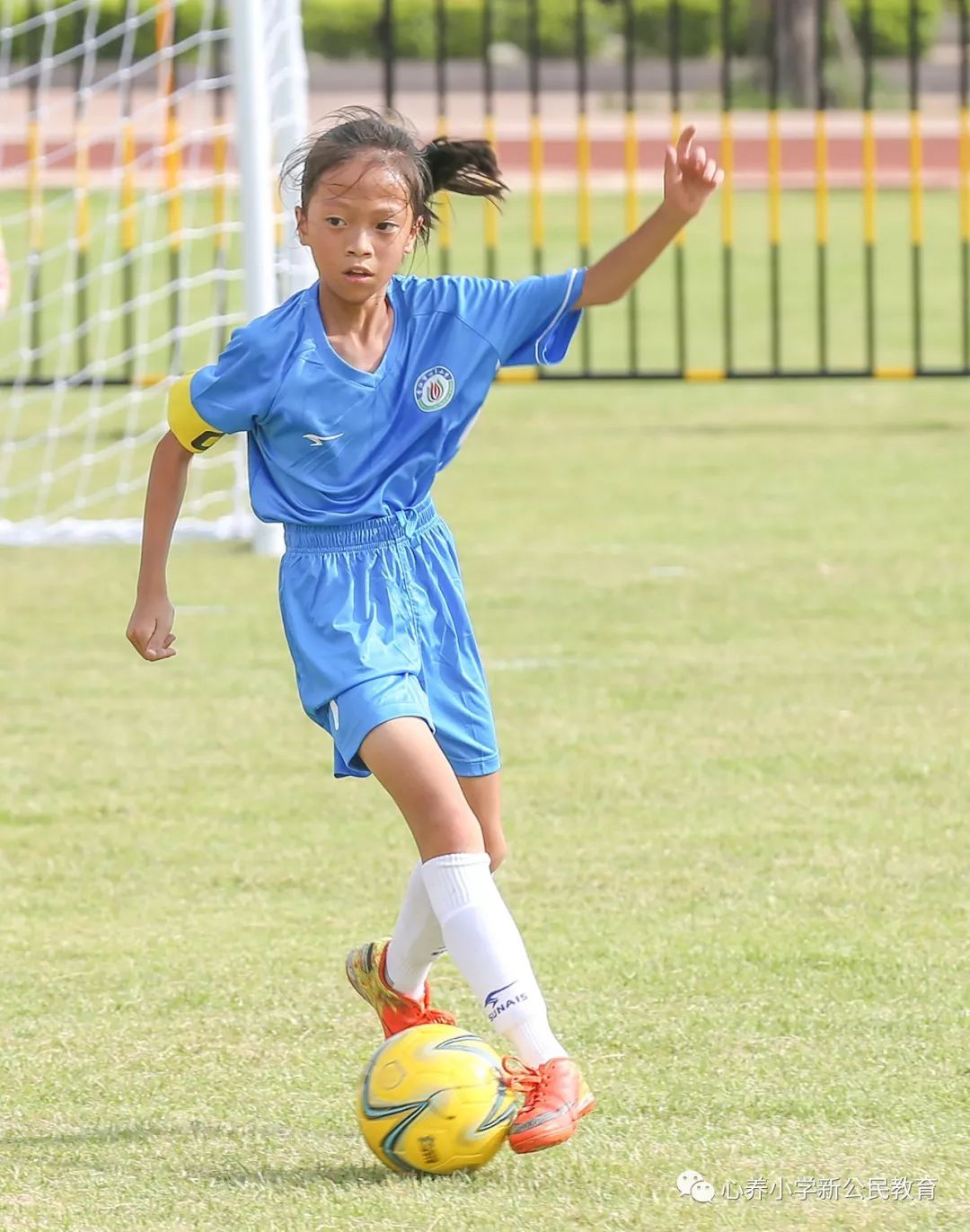 足球赛事中瑰丽斐然诛仓篇目